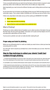 How to collect credit card number. www.eremmel.com